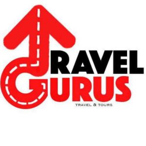 DONOR-B-TRAVEL-GURUS-logo